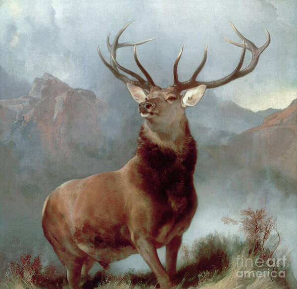 Wall Art - Painting - Monarch of the Glen by Edwin Landseer