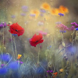 Monet's Garden I by Magda Bognar