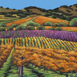 Napa by JOHNATHAN HARRIS