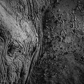 Natural Texture by Ibrahim Canakci