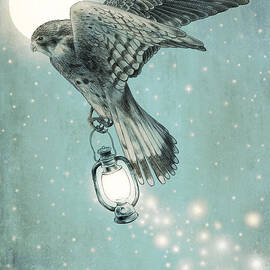 Nighthawk by Eric Fan