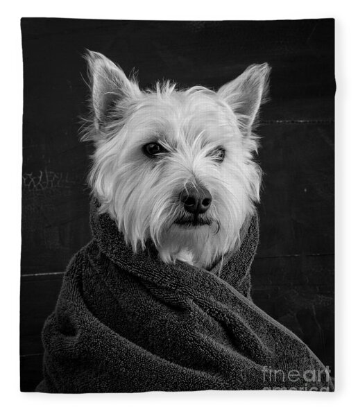 Portrait Of A Westie Dog Fleece Blanket