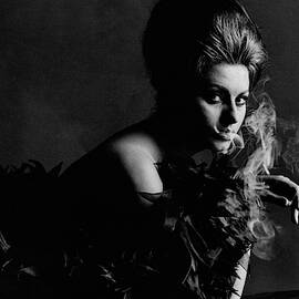 Portrait Of Sophia Loren by Bert Stern