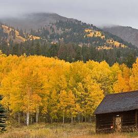 Private Gold On Ohio Pass by Mike Berenson