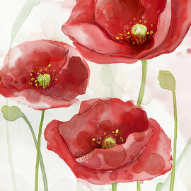 Red Poppy #1 by Mauro DeVereaux
