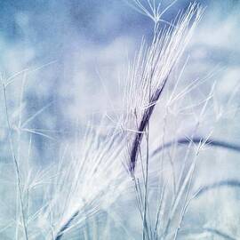 roadside blues by Priska Wettstein