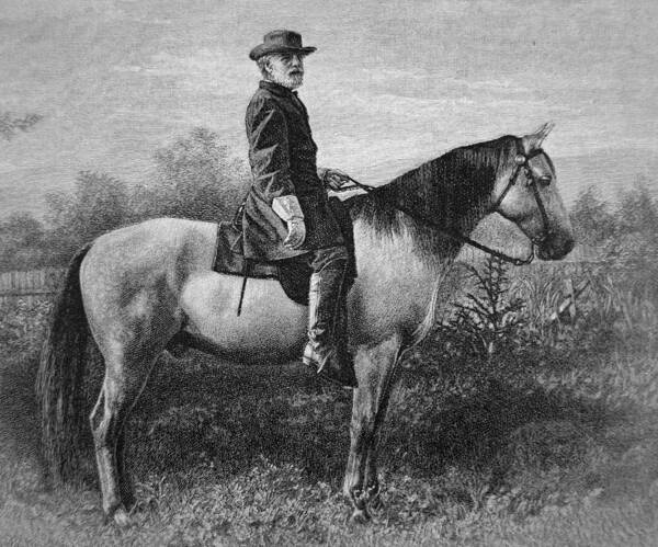 Wall Art - Drawing - Robert E Lee on his Horse Traveler by American School