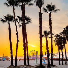 Santa Monica Palms by Az Jackson