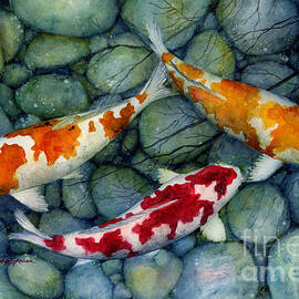 Serenity Koi by Hailey E Herrera