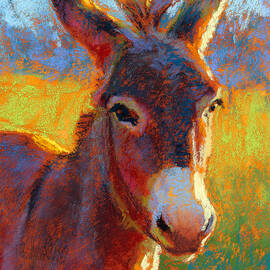 Serrano by Rita Kirkman