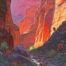 Shadow Barrel  by Cody DeLong