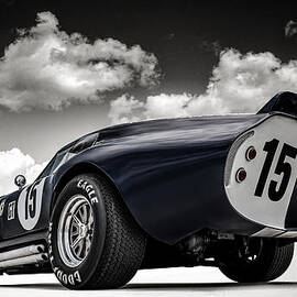 Daytona by Douglas Pittman