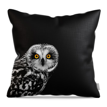 Short-eared Owl Throw Pillow