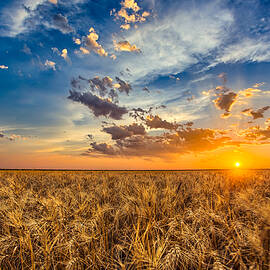 Simplicity by Thomas Zimmerman