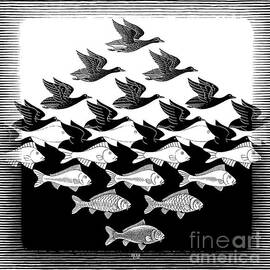 Sky and Water by MC Escher