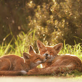 Sunshower by Roeselien Raimond