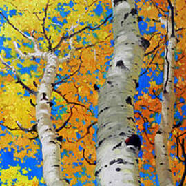 Tall Aspen Trees by Gary Kim