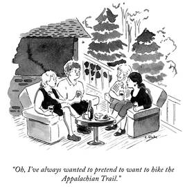 The Appalachian Trail by Emily Flake