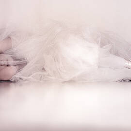 The Ballet Dancer by Lidia Vanhamme