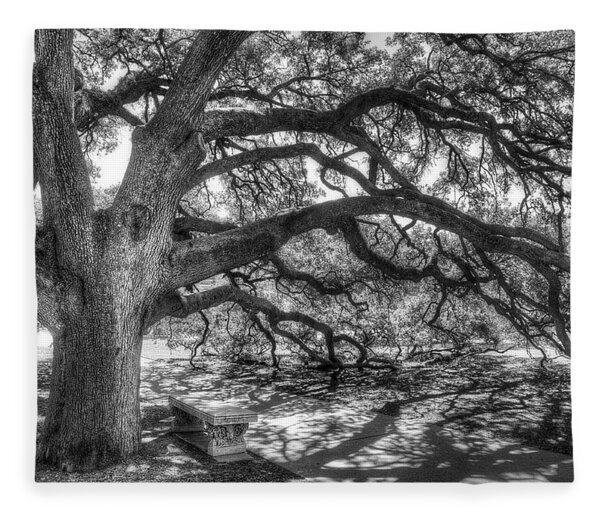 The Century Oak Fleece Blanket