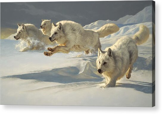 The Chase Acrylic Print