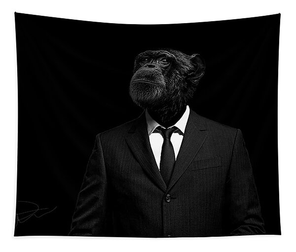 The Interview Tapestry