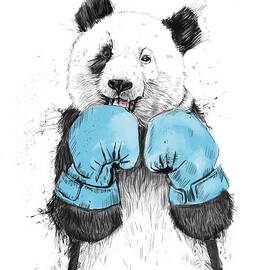 the winner by Balazs Solti