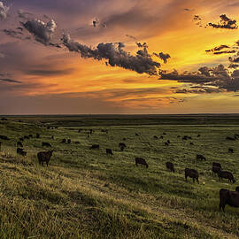 Three by Thomas Zimmerman