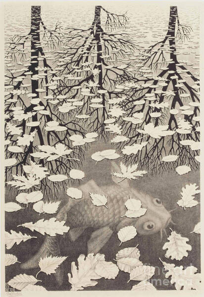 Wall Art - Drawing - Three Worlds by MC Escher