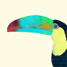 Toucan by Eric Fan