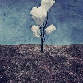 Tree Clouds 01d2 by Aimelle