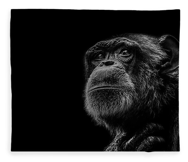 Trepidation Fleece Blanket