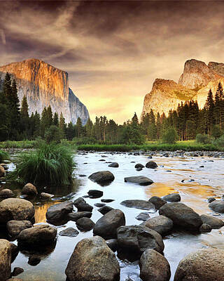 Nature Posters for Sale