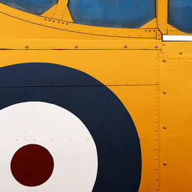 Vintage Airplane Abstract Design by Carol Leigh