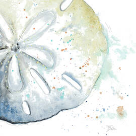 Water Sand Dollar by Patricia Pinto