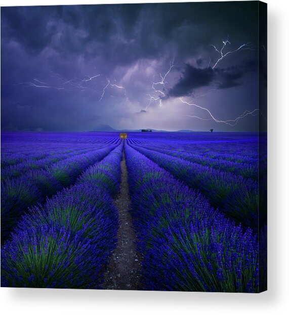 Wetter Im Lavendelfeld Acrylic Print