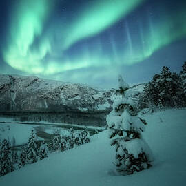 Winter Wonders by Tor-Ivar Naess