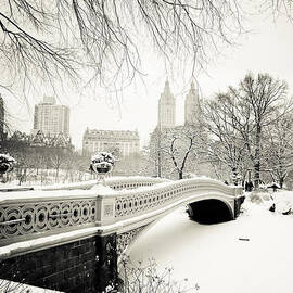 Winter's Touch - Bow Bridge - Central Park - New York City by Vivienne Gucwa