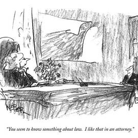 You Seem To Know Something About Law.  I Like by Robert Weber