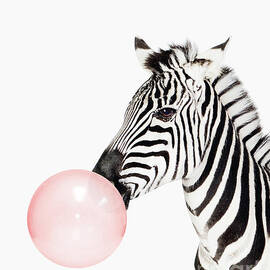 Zebra Pink bubble gum Minimalistic Modern Art Kids room by Julia July
